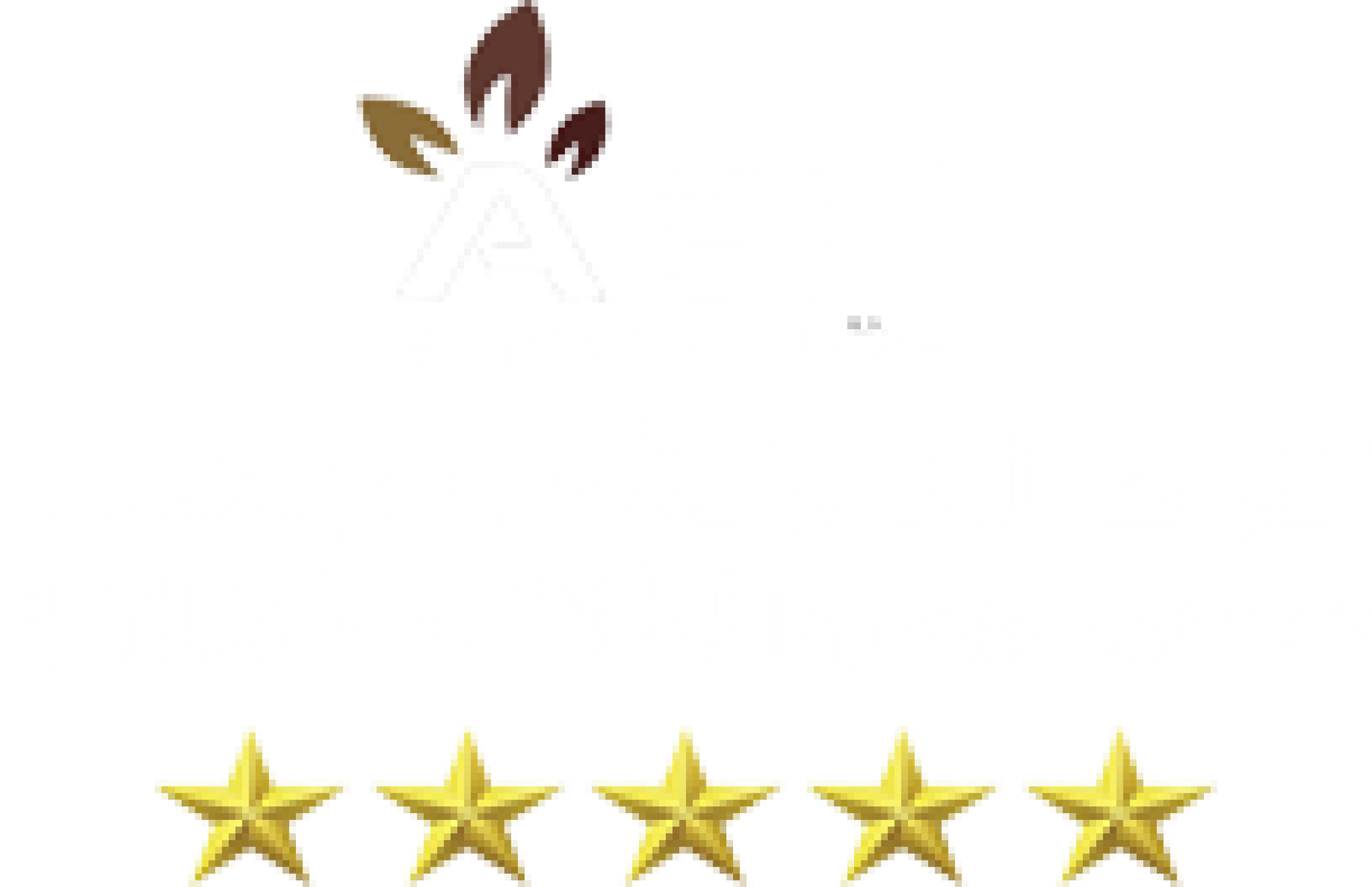 Al Turath Al Omrani Engineering Consultant